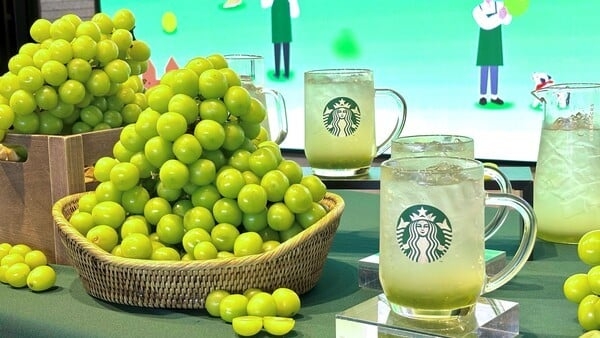 undefined 4e1c11858d59152f369a396137c348f6